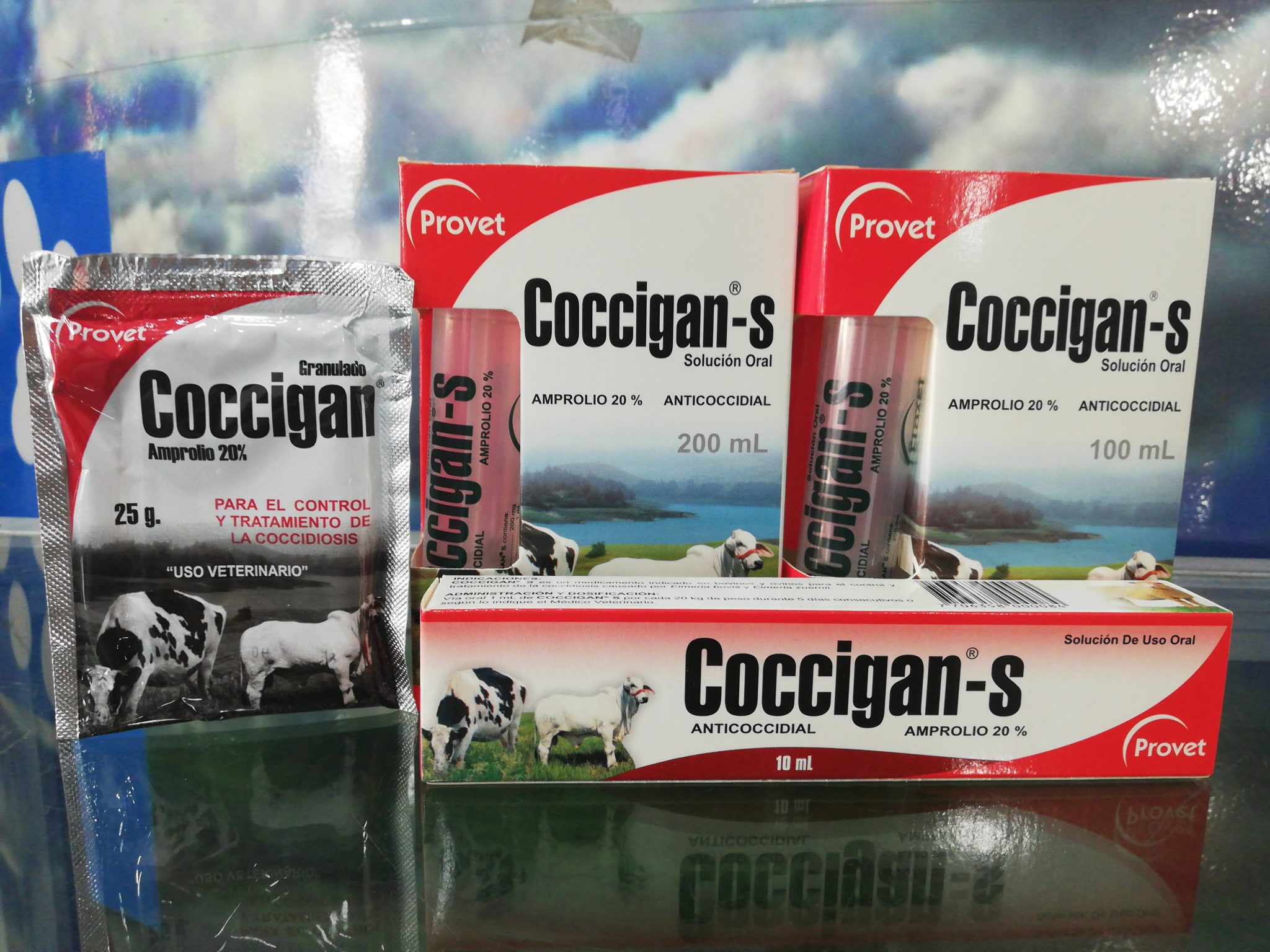COCCIGAN-S X 100 ML