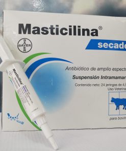 MASTICILINA SECADO X 4.5ML