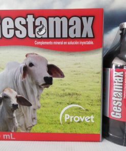 GESTAMAX INY X 250 ML