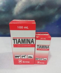TIAMINA X 100 ML ERMA