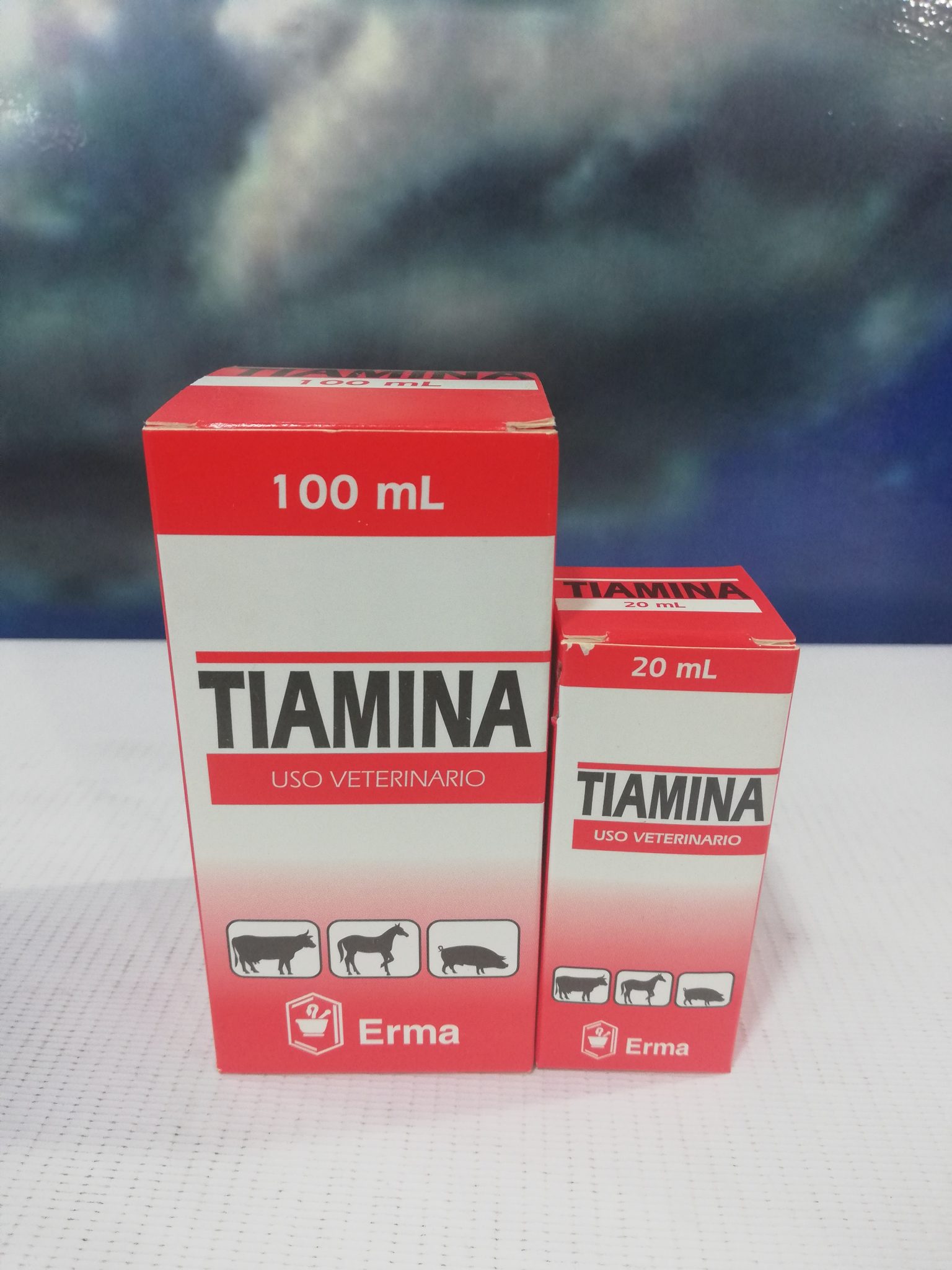 TIAMINA X 100 ML ERMA
