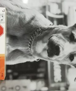 STOPPAR JERINGA X 5ML