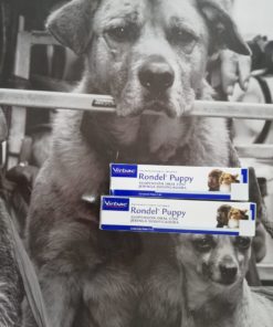RONDEL PUPPY X 2 ML