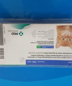 PROCYON HCPCH+FELV X 1 DOSIS